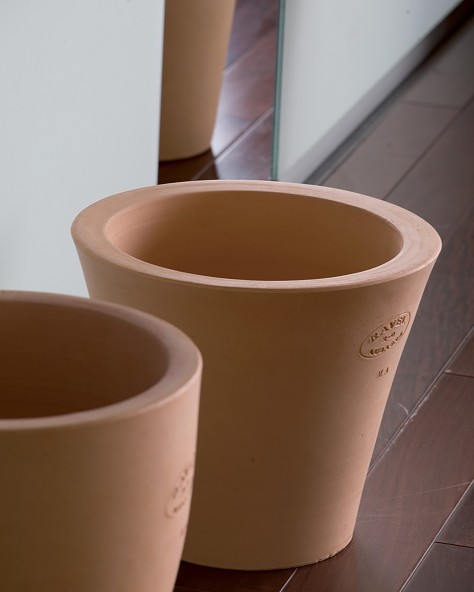 VASE ALOES
