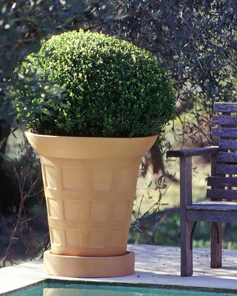 VASE DAMIER