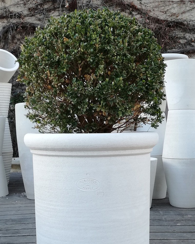 VASE LAURIER