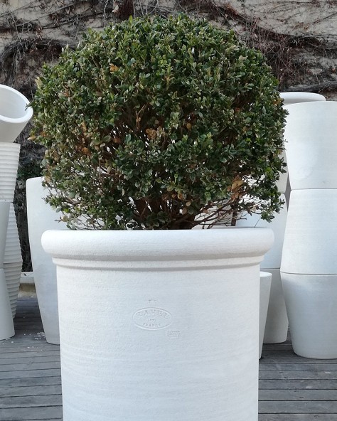VASE LAURIER VASE LAURIER
