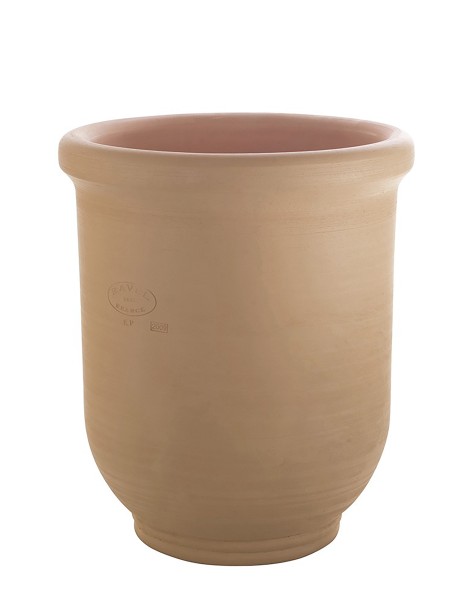 VASE BUIS LISSE