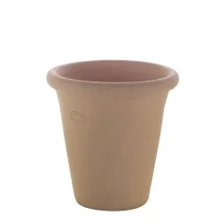 POT VIOLETTE