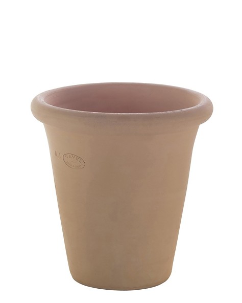 POT VIOLETTE