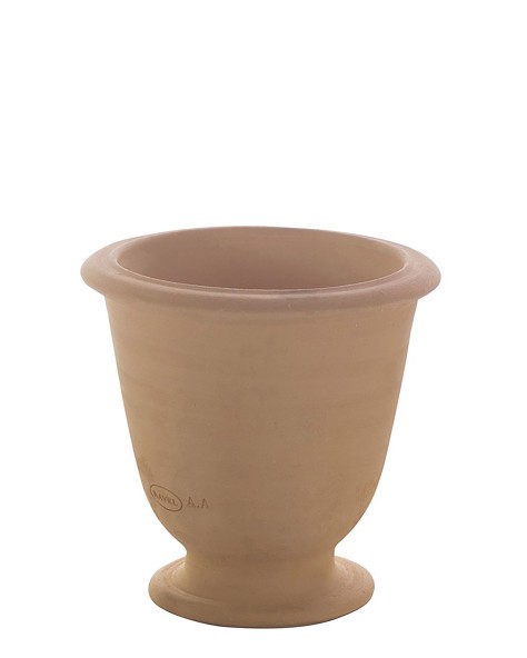POT BASILIC POT BASILIC