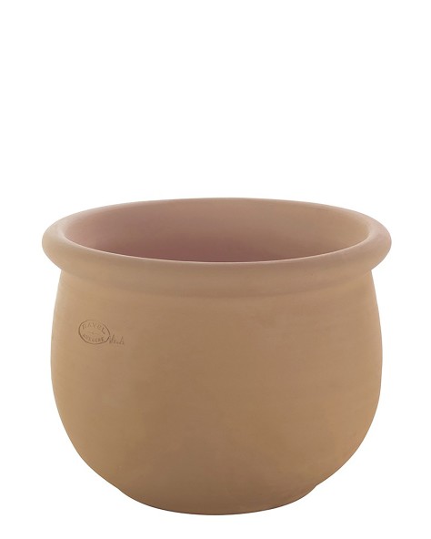 VASE JONQUILLE