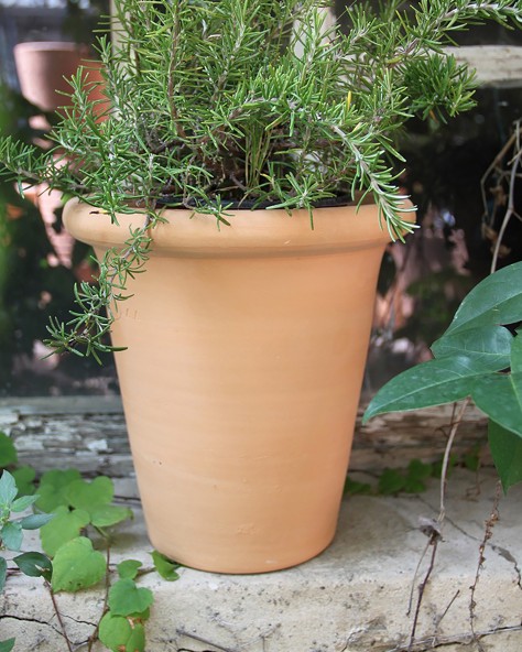 POT VIOLETTE