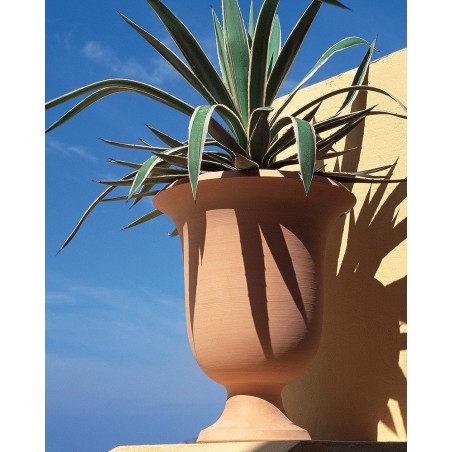 VASE AZALEE VASE AZALEE