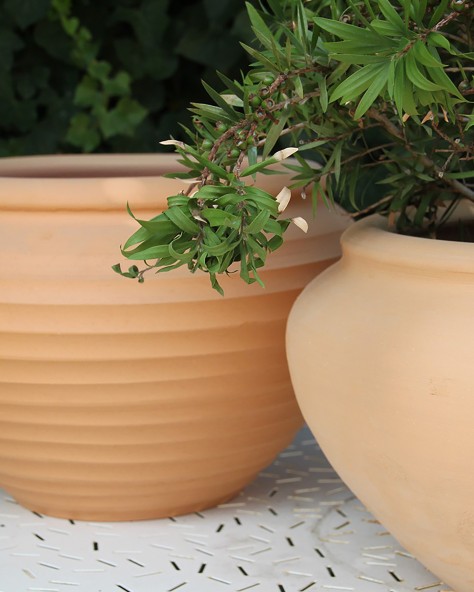 PAPYRUS VASE PAPYRUS VASE