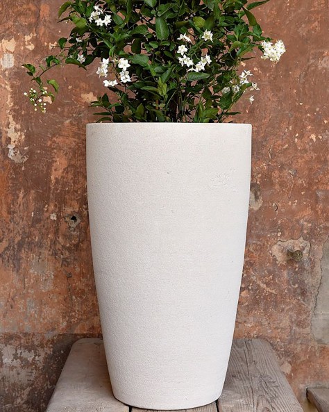 VASE LANTANA VASE LANTANA