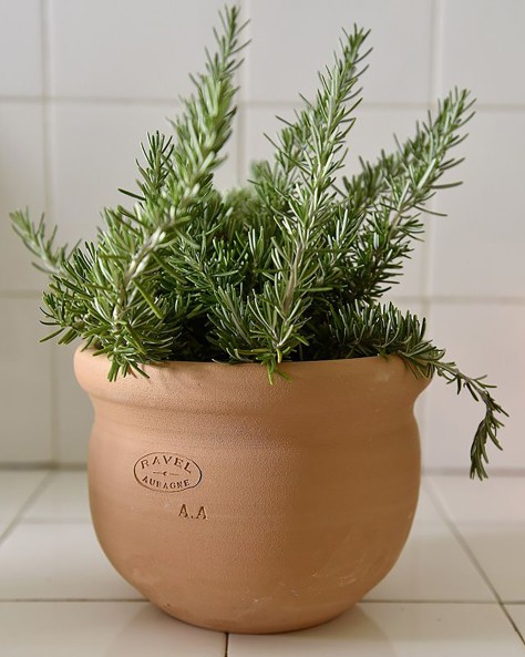 VASE JONQUILLE