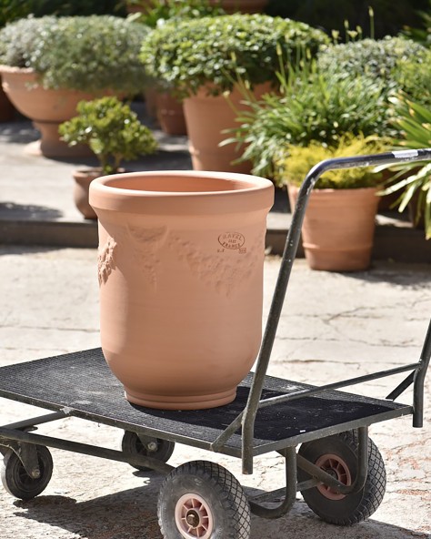 VASE BUIS GUIRLANDE
