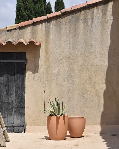 POT CACTUS