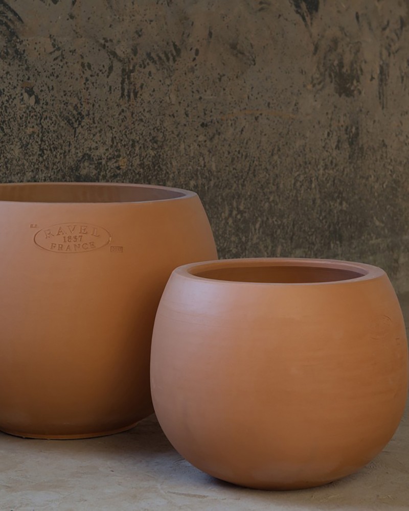 Pottery Cosmos