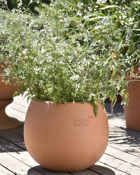 VASE COSMOS
