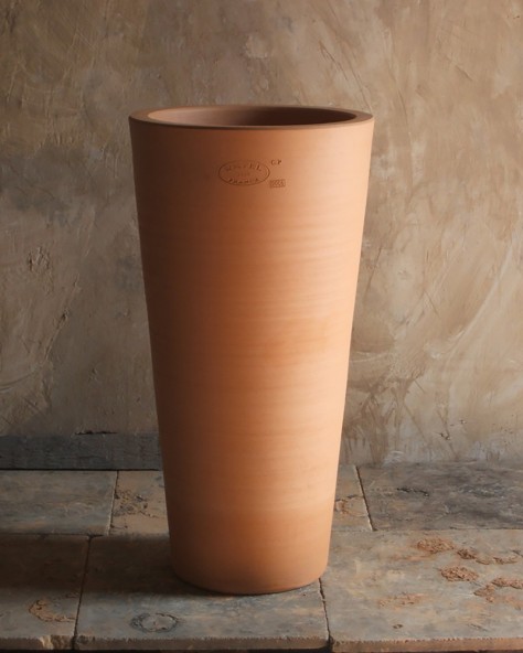 POT CYCAS FIN POT CYCAS FIN