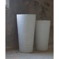 POT CYCAS FIN