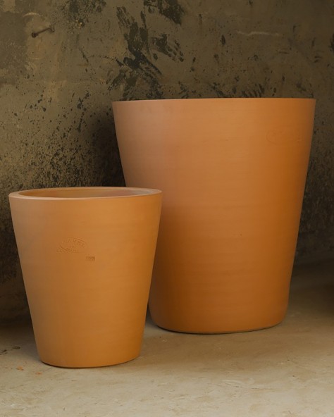 Smooth Cycas