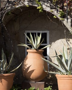 Pottery Provencal Jar