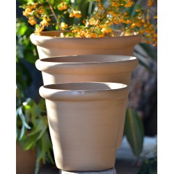 VASE JASMIN