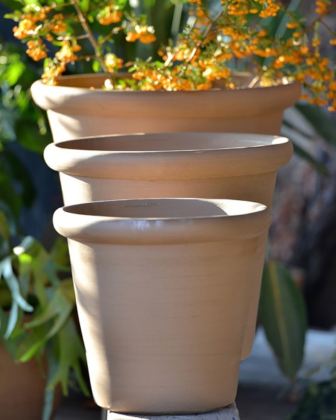 VASE JASMIN