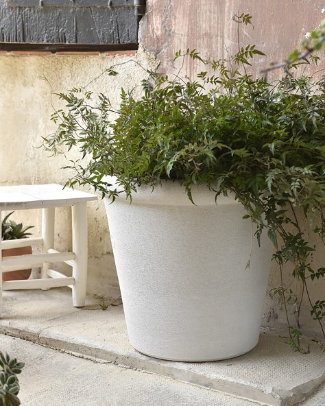 VASE JASMIN