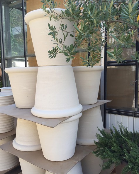 VASE JASMIN