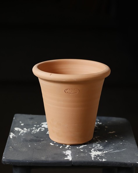 POT VIOLETTE