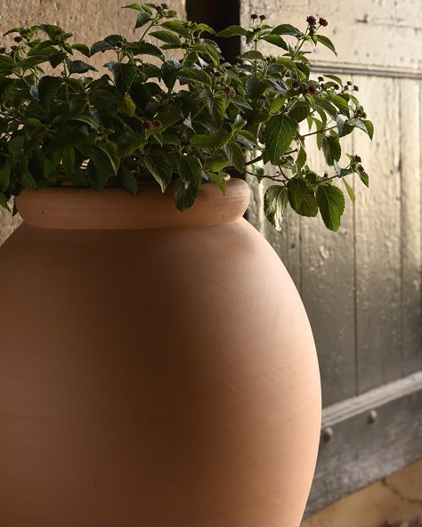 Pottery Mediterranean Jar Lisse