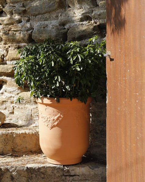 VASE BUIS GUIRLANDE