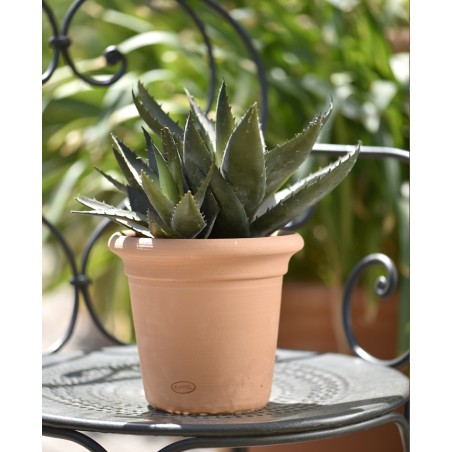 POT CAPUCINE