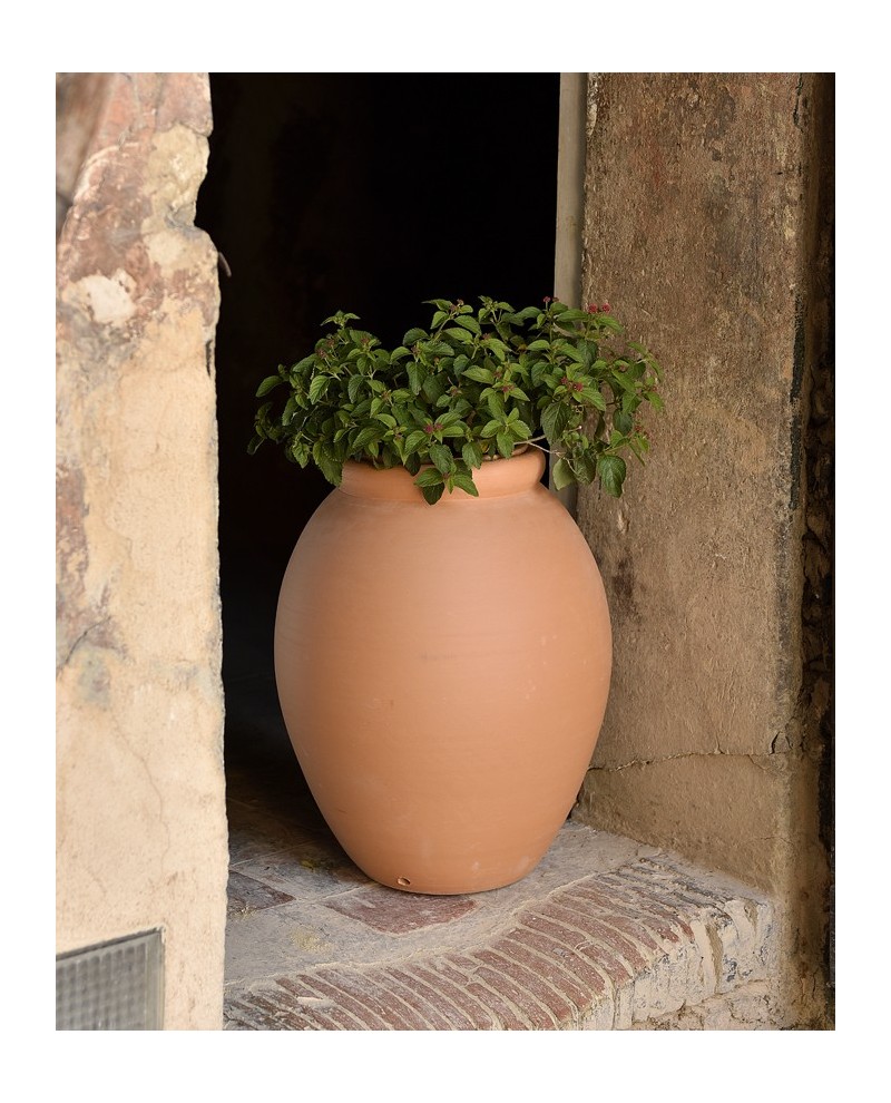 Jarre murale lisse en terre cuite - Poterie Amance - Drouilly