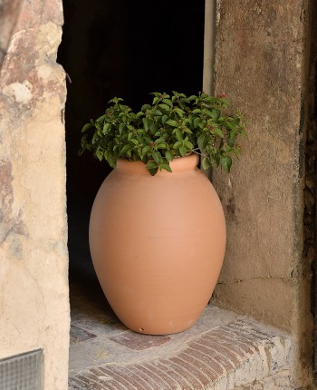 Achetez vos pots en terre cuite déco jardin - Amadera