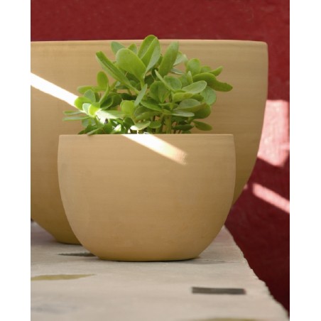 VASE JACINTHE VASE JACINTHE