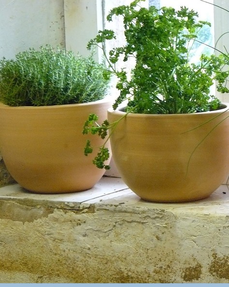 Pottery Jacinthe