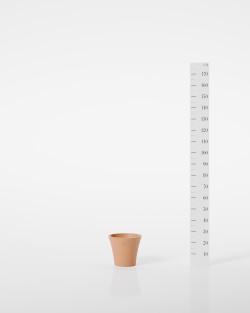 VASE ALOES