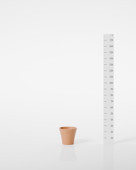 VASE ALOES VASE ALOES