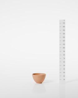 VASE ARUM