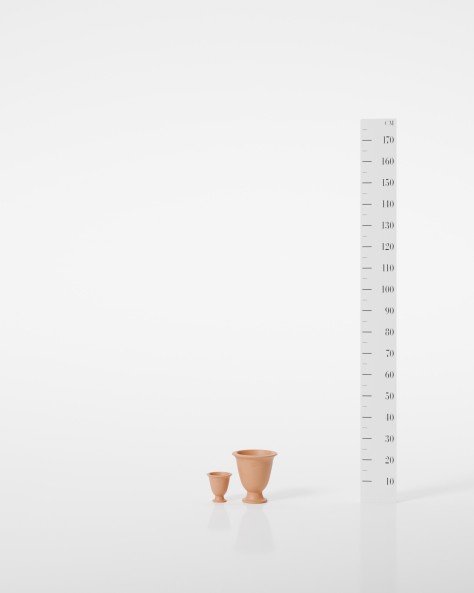 POT BASILIC POT BASILIC