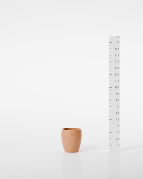POT CACTUS
