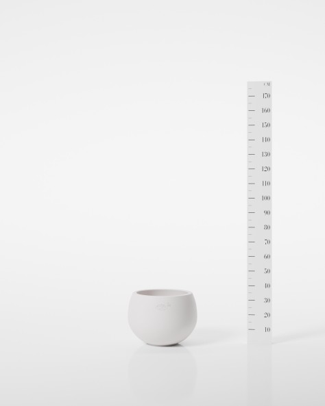 VASE COSMOS