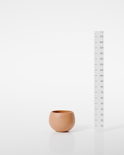 VASE COSMOS