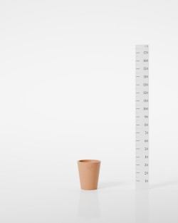 Smooth Cycas