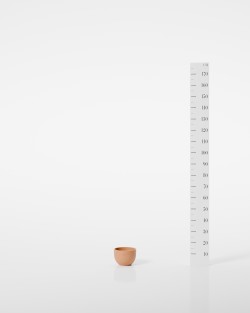 VASE JACINTHE