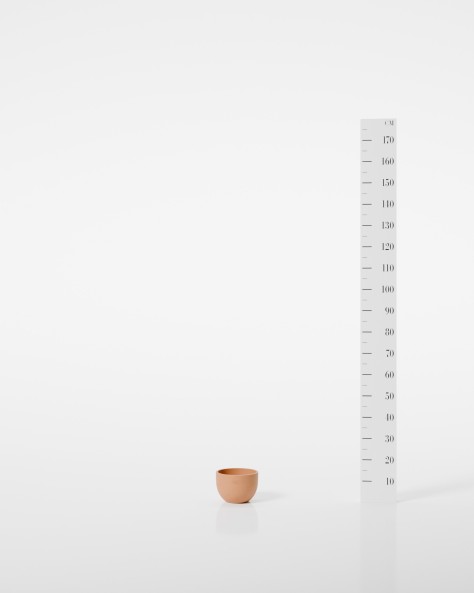 VASE JACINTHE VASE JACINTHE