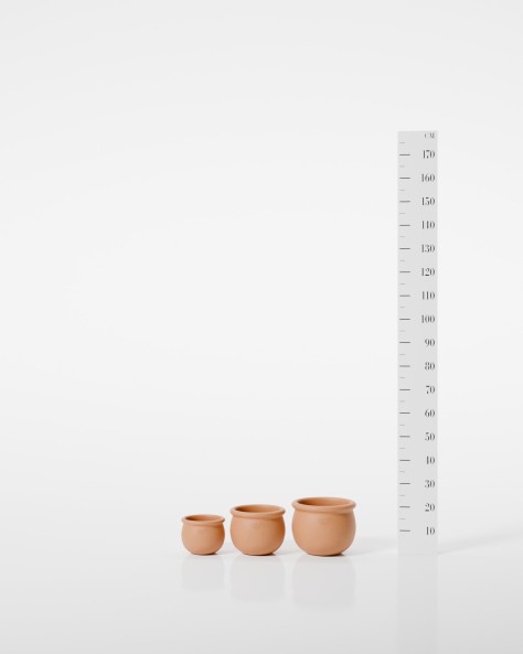 VASE JONQUILLE
