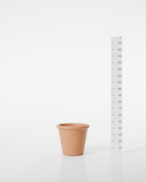 VASE JASMIN