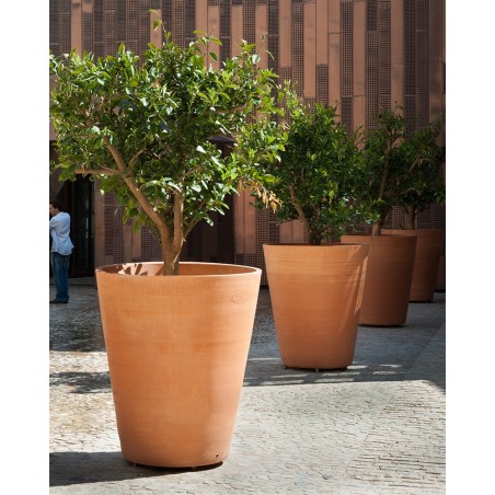 POT CYCAS LISSE POT CYCAS LISSE