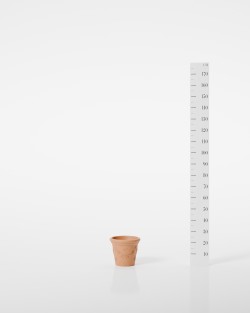 POT A RINCEAUX