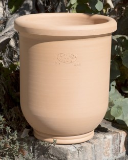 VASE BUIS LISSE