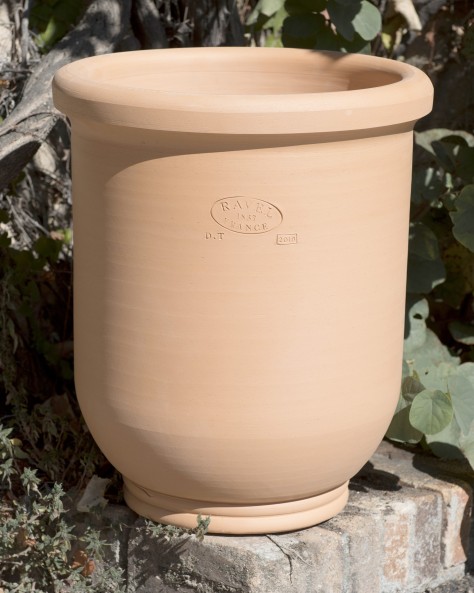 VASE BUIS LISSE